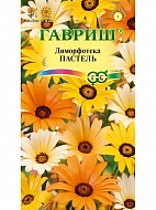 Семена Цветы Диморфотека Пастель см, 0,1г., Гавриш
