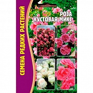 Семена Цветы Роза Кустовая Микс б/ф, 10шт., Решение