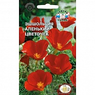 Семена Цветы Эшшольция Аленький цветочек, 0,06г., Седек