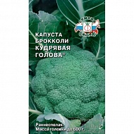Семена Капуста брокколи Кудрявая Голова, 0,5г., Седек