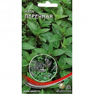 Семена Мята Перечная, 300шт., Дом Семян С-П