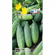 Семена Огурец Голубчик, 0,3г., Седек