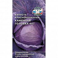 Семена Капуста краснокочанная Каменная головка 447, 0,5г., Седек