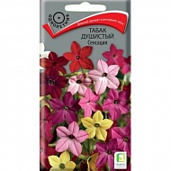Семена Цветы Табак душистый Сенсация, 0.25 г, Поиск