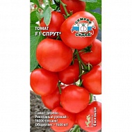 Семена Томат Спрут Томат-Дерево, 0,03г., Седек