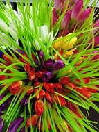 Цветы искусственные 42см (букет тюльпаны)