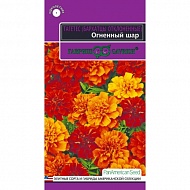 Семена Цветы Бархатцы Огненный шар  7шт., Плазменные семена