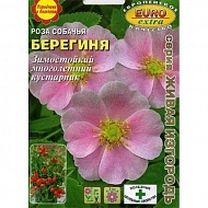 Семена Цветы Роза Берегиня, 0,15г., Аэлита Э
