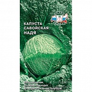 Семена Капуста савойская Надя F1, 1г., Седек