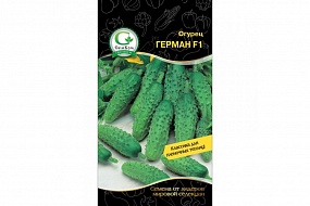 Семена Огурец Герман, 6шт., Уральский Дачник