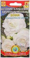 Семена Цветы Бегония Белая крупноцветковая, 5шт., Плазменные семена