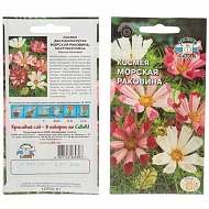 Семена Цветы Космея Морская раковина, 0.3 г, Седек
