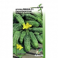 Семена Огурец Маша, 6шт., Дом Семян С-П