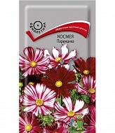 Семена Цветы Космея Парижанка, 0,1г., Поиск