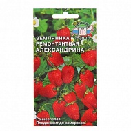 Семена Земляника Александрина, 0,04г., Седек