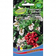 Семена Брусника Коралл, 20шт., Уральский Дачник