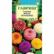 Семена Цветы Георгина Яркие помпоны, 0.2 г, Гавриш