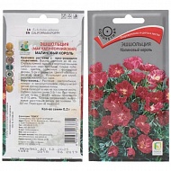 Семена Цветы Эшшольция Малиновый король, 0.2 г, Поиск