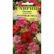 Семена Цветы Гвоздика Перистая Сказка махровая смесь, 0,1г., Гавриш