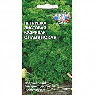Семена Петрушка Листовая кудрявая Славянская Седек