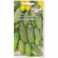 Семена Огурец Филиппок F1, 0,3г., Седек